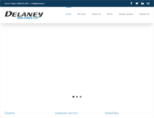 Tablet Screenshot of delaney.ca